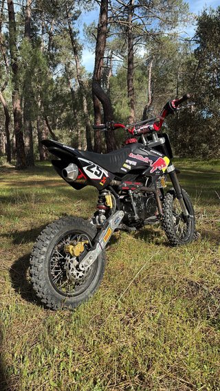 Pit Bike Rebel Master 140cc RED BULL