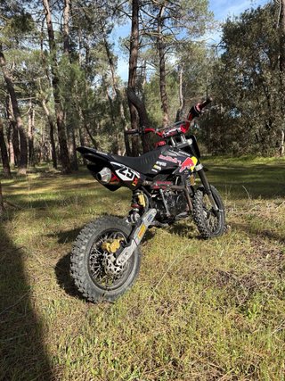 Pit Bike Rebel Master 140cc RED BULL
