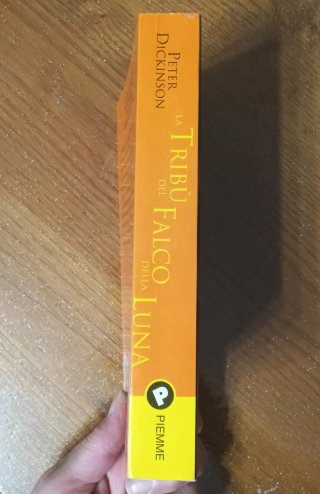 Libro " la tribù del falco della luna
