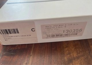 Apple iPad Plata