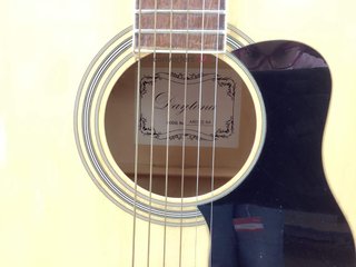guitarra acustica daytona a401c