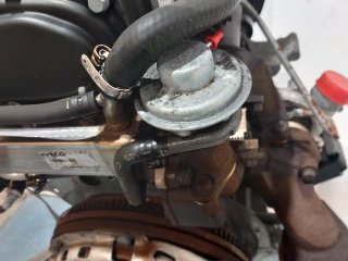 Motor completo IVECO DAILY FURGÓN