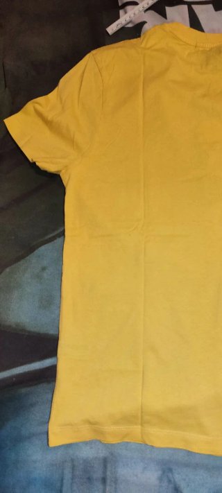 Camiseta XL Piolín Looney Tunes