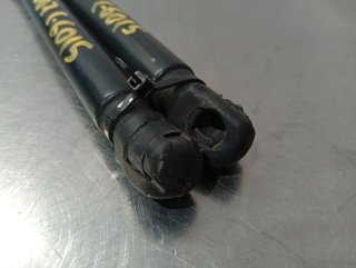 Amortiguadores maletero / porton RENAULT CLIO III