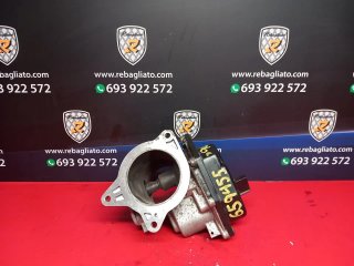 Valvula egr SEAT TOLEDO (1M2)