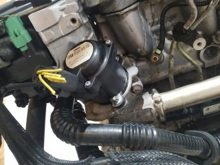 Motor completo FORD FOCUS C-MAX (CAP)(2003)
