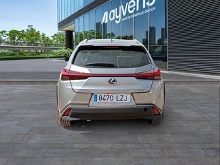 Lexus UX 2.0 250h Business