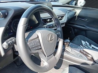 Lexus UX 2.0 250h Business