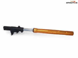 Horquilla Invertida Derecha Rieju Rs2 125