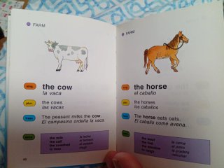 Mi primer vocabulario ingles.