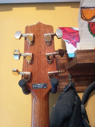 Guitarra Acústica Takamine ZURDA