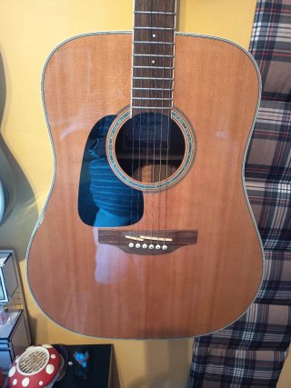 Guitarra Acústica Takamine ZURDA