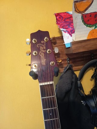 Guitarra Acústica Takamine ZURDA