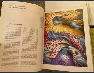 Libros medicina, farmacia, salud