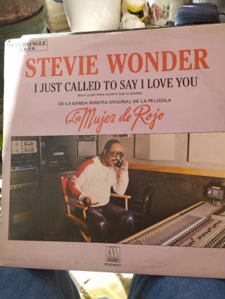 Vinilo Stevie Wonder I Just Called To Say I Love Y