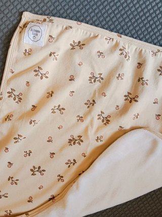 CUNA NIDO PREMIUM EVOLUTIVA PETITE MARMOTTE
