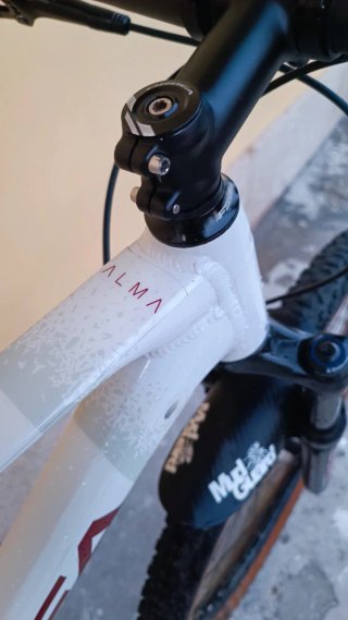 Orbea Alma H30