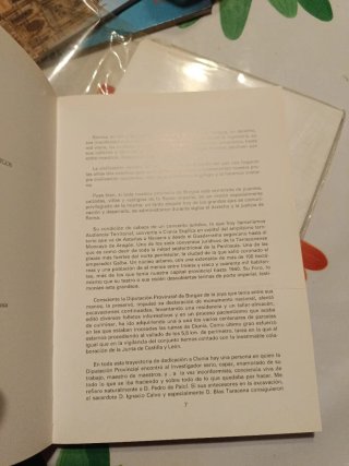 Clvnia.Historia de la ciudad y guia de las excavac