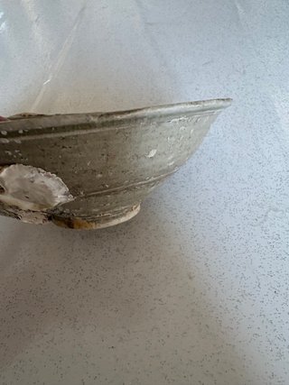 Ciotola Sawankalok Sud-Est Asiatico