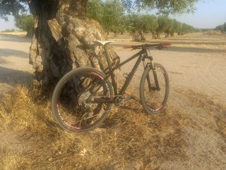 Bicicleta MTB Carbono talla M