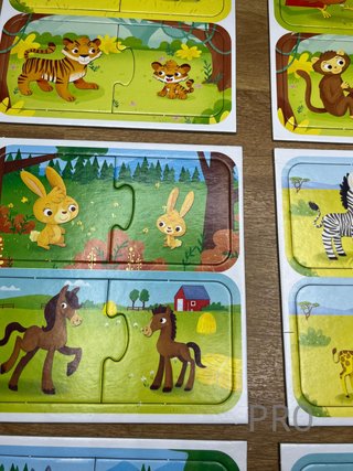 Juego de Lógica y Reflexión Lisciani