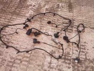 Cableado Sensores Ford Focus 2014 + 6 Sensores