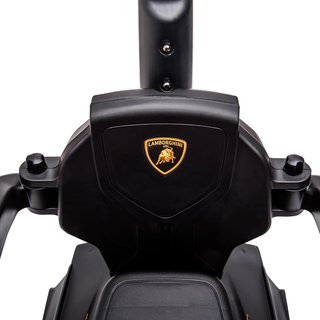 Lamborghini Cochecito para Niños 2 en 1 con Asa y Barrera de Seguridad, Volante y Claxon, Auto para Niños en PP y Metal, 86.5X40X89.5 Cm, Verde y Negro