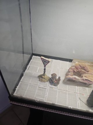 Acuario con mueble negro 84L