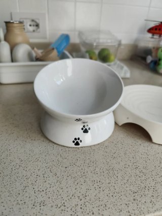 Set 3 Ciotole Cibo Gatti Bianco