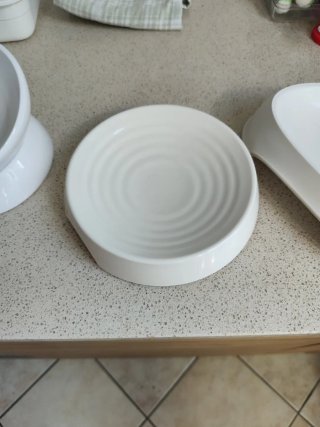 Set 3 Ciotole Cibo Gatti Bianco