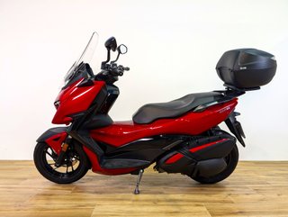ZONTES M 310   (2021-2025) 2024