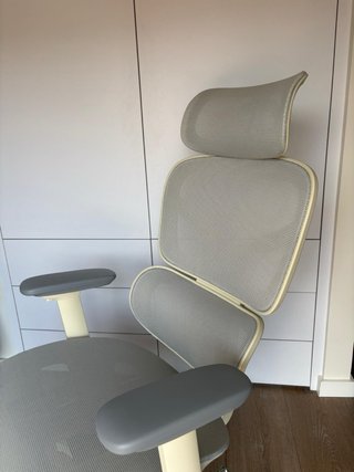 Silla Ergonómica Flexispot Beige/Gris