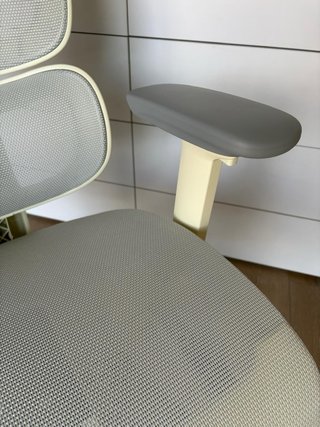 Silla Ergonómica Flexispot Beige/Gris