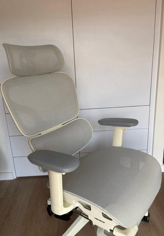 Silla Ergonómica Flexispot Beige/Gris