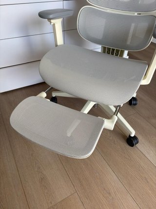 Silla Ergonómica Flexispot Beige/Gris