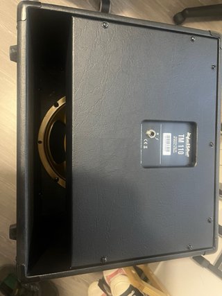 Pantalla 10” Celestion Gold H&K TM110
