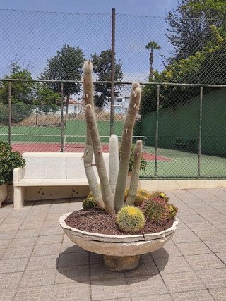 Piso en alquiler en San Antonio - Las Arenas en Puerto de la Cruz