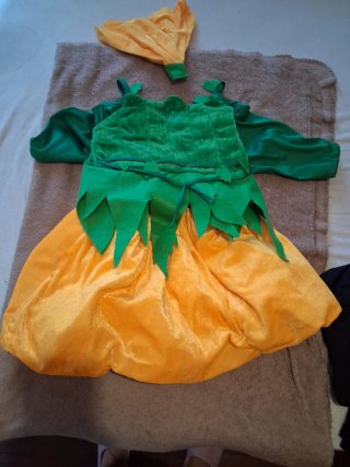 Disfraz Calabaza Niña Talla 4-6