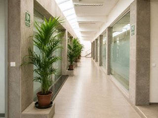 Oficina en alquiler en Ciudad Jardín en Palmas de Gran Canaria(Las)