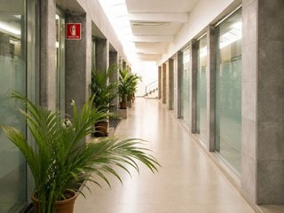Oficina en alquiler en Ciudad Jardín en Palmas de Gran Canaria(Las)