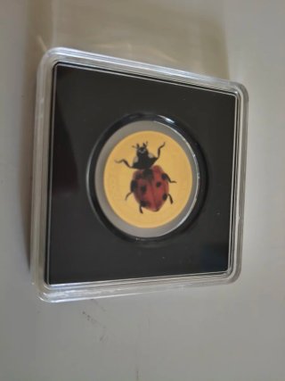 Moneta Oro 999 Coccinella