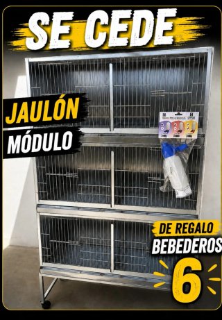 Jaula modular con carro