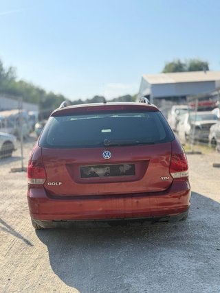 Despiece Volkswagen Golf V 1.9 TDI