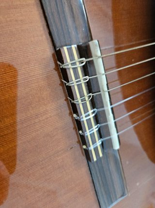Guitarra Clásica Casa Damas