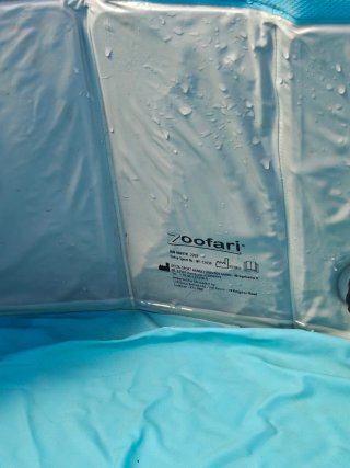Piscina Zoofari para perros/niños