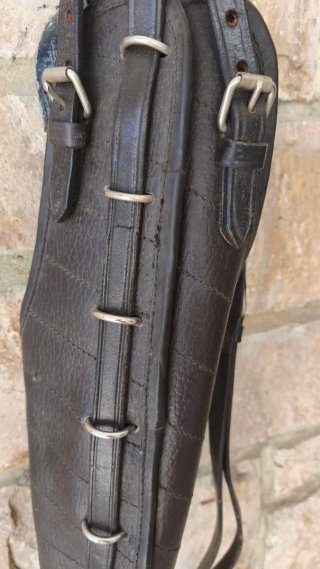 Conjunto cubre colas caballo