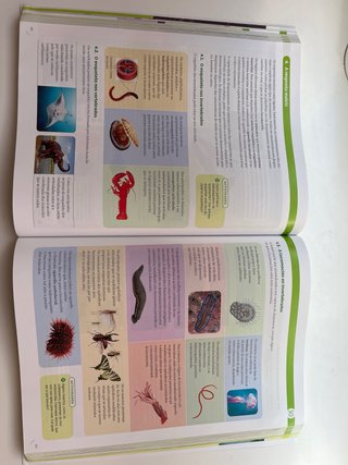 Bioloxía, Xeoloxía e Ciencias Ambientais, 1º bach