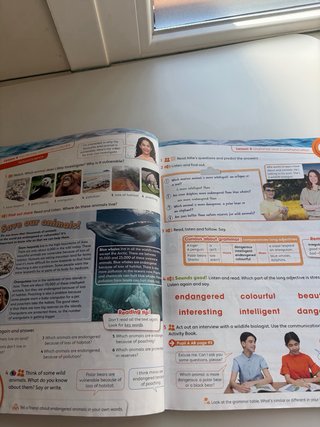 KIDS CAN! Foundations 5 Pupil's Book: libro de ...