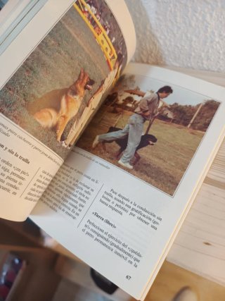 El Adiestramiento del Perro (Perros de Raza)