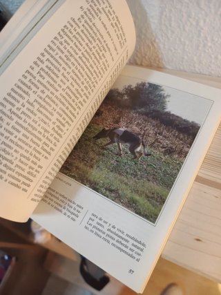 El Adiestramiento del Perro (Perros de Raza)